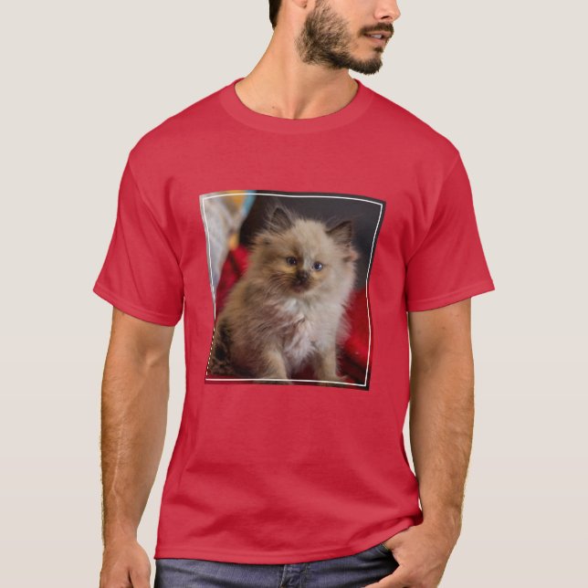 Camiseta Animales de bebé más afectados | Gatito siamés (Anverso)