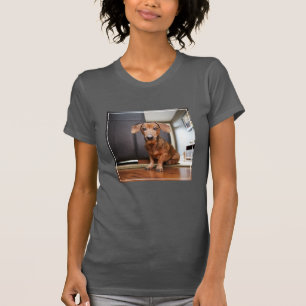 Camiseta Animales de bebé más afectados   Mini Dachshund Pu