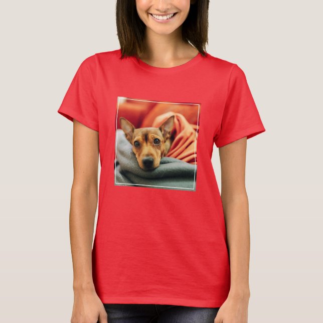 Camiseta Animales de bebé más afectados | Pinscher en minia (Anverso)