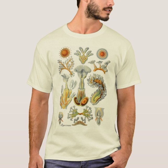 Camiseta Animales de musgo (Anverso)
