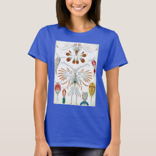 Camiseta Animales Oceánicos Antiguos, Copepoda por Ernst Ha