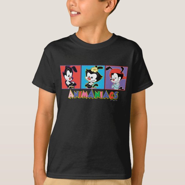 Camiseta Animaniacs | Gráfico de Yakko, Dot y Wakko (Anverso)