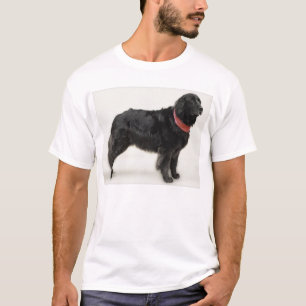 Camiseta Annie
