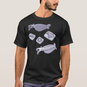 Camiseta Anomalocaris Fossils