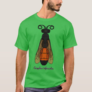Camiseta Anoplius infuscatus