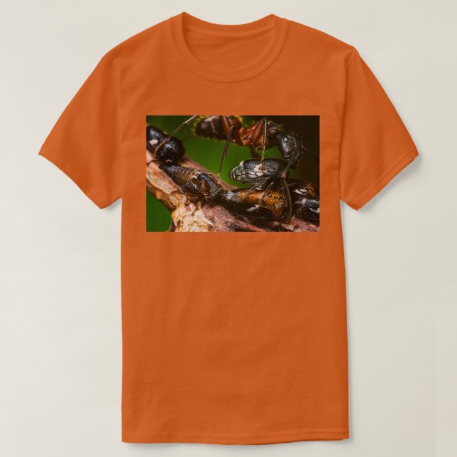 Camiseta Ant Farming Treehoppers (Diseño del anverso)