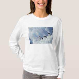 Camiseta Antártica. Pingüinos de Adelie