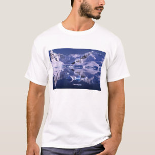 Camiseta Antártida, Bahía del Paraíso