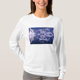 Camiseta Antártida, Bahía Paradise