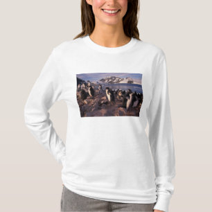Camiseta Antártida, crías de pingüino Adelie