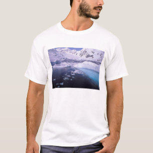 Camiseta Antártida. Expedición a través de paisajes de hiel