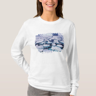 Camiseta Antártida, Flujo de hielo.