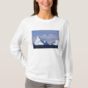 Camiseta Antártida, Isla Boothe, Sol de tarde