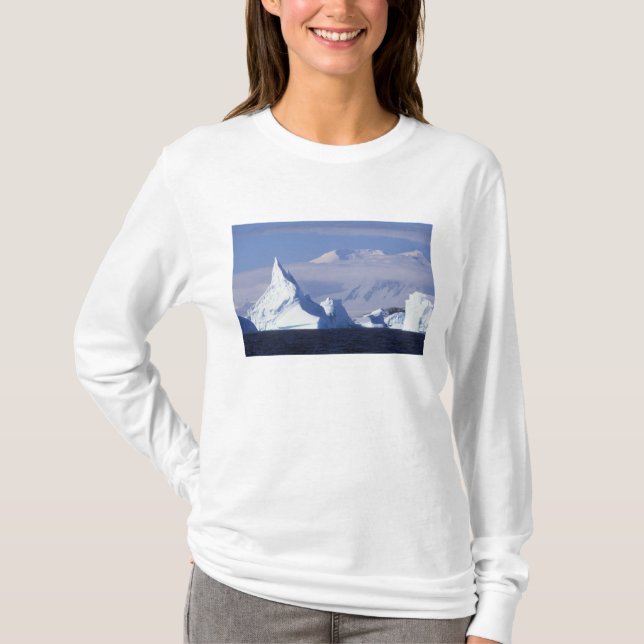Camiseta Antártida, Isla Boothe, Sol de tarde (Anverso)