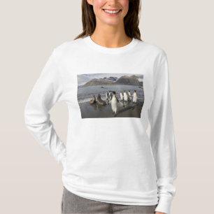 Camiseta Antártida, Isla Georgia del Sur (Reino Unido), Ant