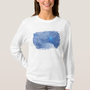 Camiseta Antártida, Isla Ross, Cabo Evans, Cueva de Nieve