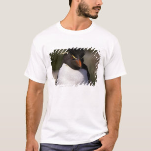 Camiseta Antártida, Islas Subantárticas, Sur 5