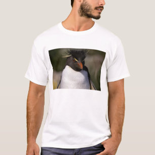 Camiseta Antártida, Islas Subantárticas, Sur 5