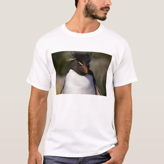 Camiseta Antártida, Islas Subantárticas, Sur 5 (Anverso)