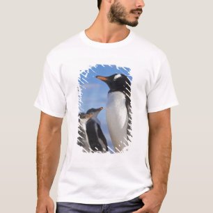 Camiseta Antártida, Neko Cove (Puerto). Pingüino de Gentoo