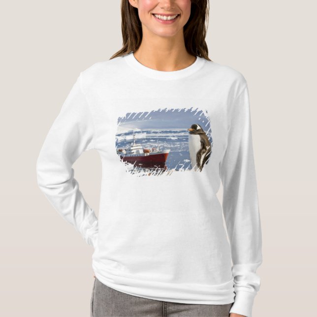 Camiseta Antártida, Neko Cove (puerto). Pingüino de Gentoo (Anverso)