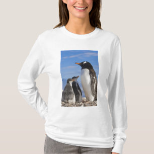 Camiseta Antártida, Neko Cove (Puerto). Pingüino de Gentoo 