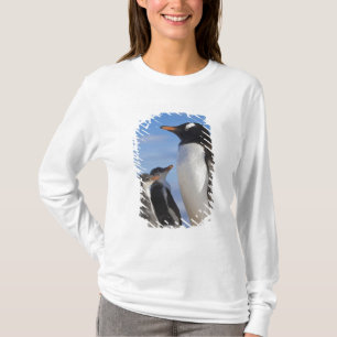 Camiseta Antártida, Neko Cove (Puerto). Pingüino de Gentoo