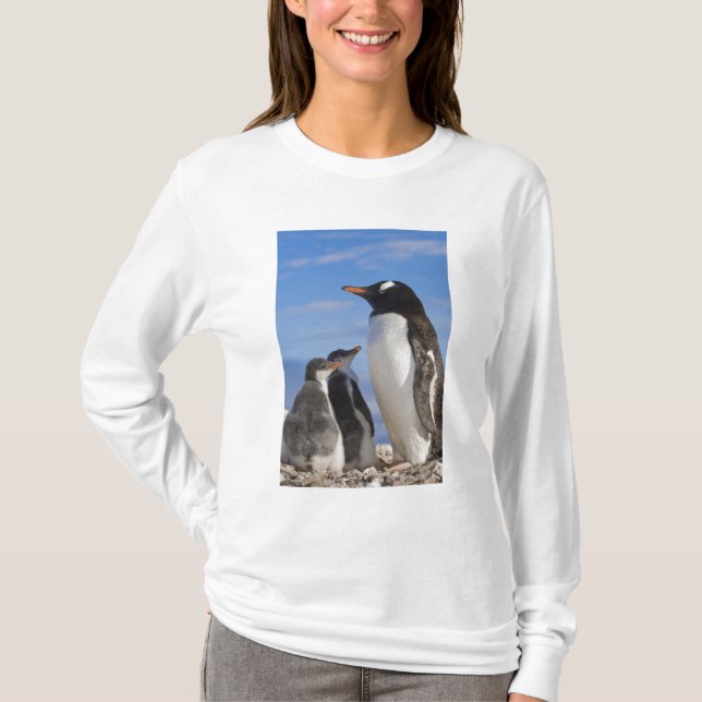 Camiseta Antártida, Neko Cove (puerto). Pingüino Gentoo 2 (Anverso)