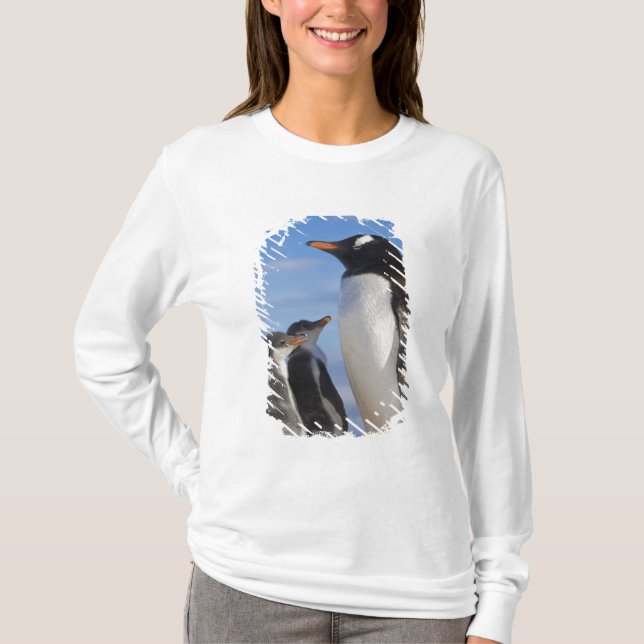 Camiseta Antártida, Neko Cove (puerto). Pingüino Gentoo 2 (Anverso)