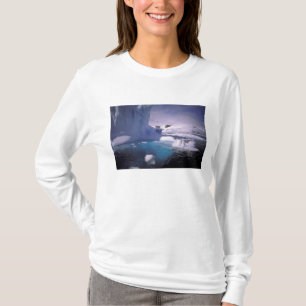 Camiseta Antártida. Paisajes de hielo antártico 2
