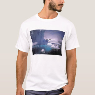 Camiseta Antártida. Paisajes de hielo antártico 2