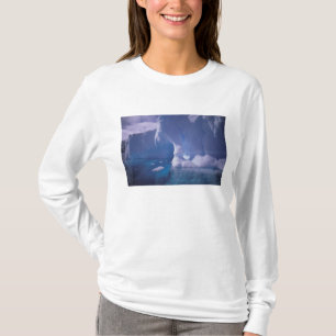 Camiseta Antártida. Paisajes de hielo antártico 3