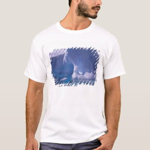 Camiseta Antártida. Paisajes de hielo antártico 3