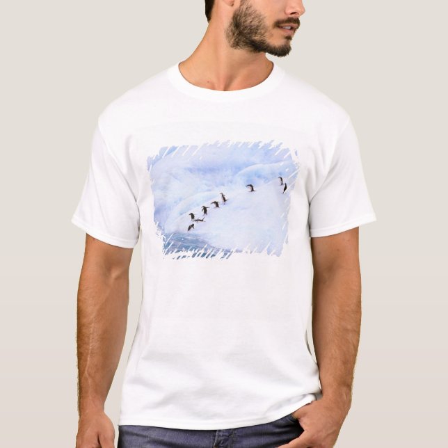 Camiseta Antártida, Península Antártica. Chinstrap (Anverso)