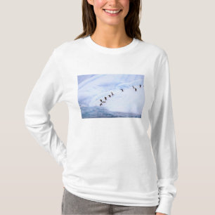 Camiseta Antártida, Península Antártica. Chinstrap