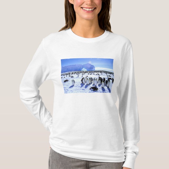 Camiseta Antártida, Península Antártica, Mar de Weddell, 5 (Anverso)