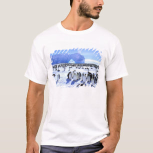 Camiseta Antártida, Península Antártica, Mar de Weddell, 5