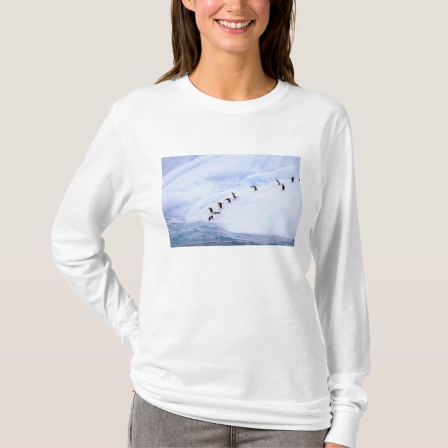 Camiseta Antártida, Península Antártica. Penacho (Anverso)