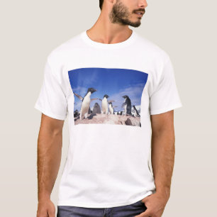 Camiseta Antártida, Pingüino Adelie Pygoscelis