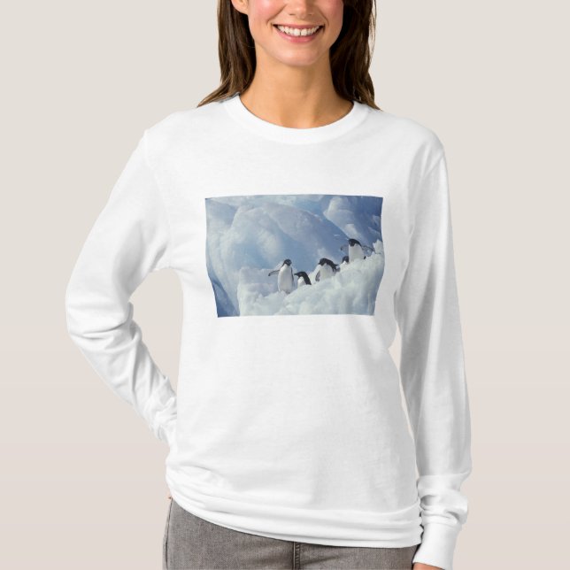 Camiseta Antártida. Pingüinos Adelie (Anverso)