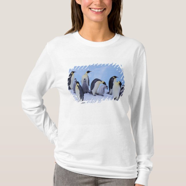 Camiseta Antártida, Pingüinos Emperadores (Anverso)