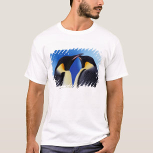 Camiseta Antártida, Pingüinos Emperadores