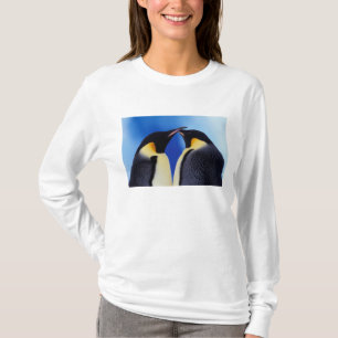 Camiseta Antártida, pingüinos emperadores