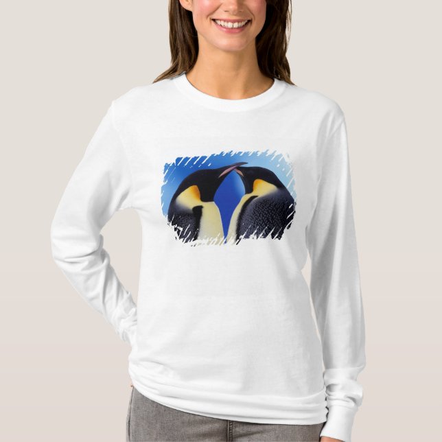 Camiseta Antártida, pingüinos emperadores (Anverso)