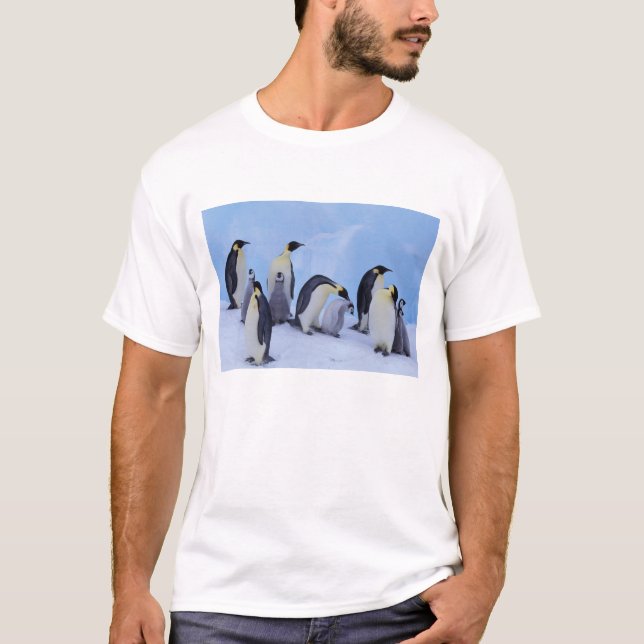 Camiseta Antártida, Pingüinos Emperadores (Anverso)