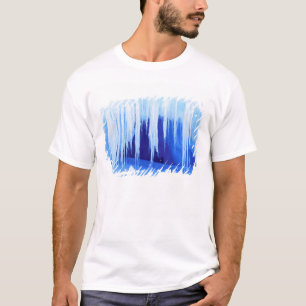 Camiseta Antártida, Territorio Antártico Australiano. 2