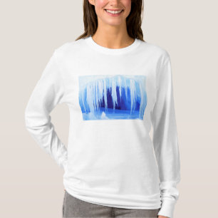 Camiseta Antártida, Territorio Antártico Australiano. 2