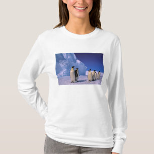 Camiseta Antártida, Territorio Antártico Australiano, 7