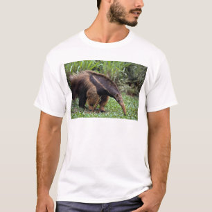 Camiseta Anteater gigante (tridactyla del Myrmecophaga)