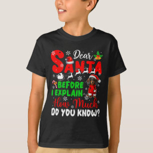 Camiseta Antes De Explicar Cuánto Sabes De Navidad Dachshun